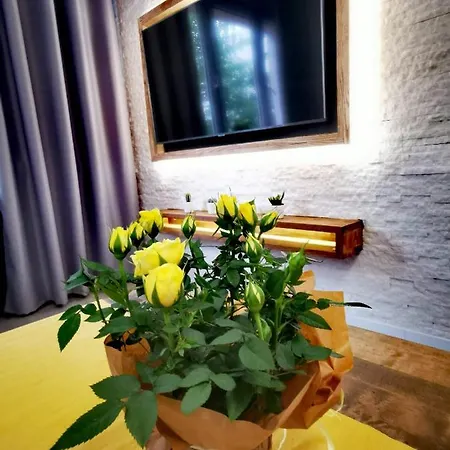 Apartament Przy Arsenale