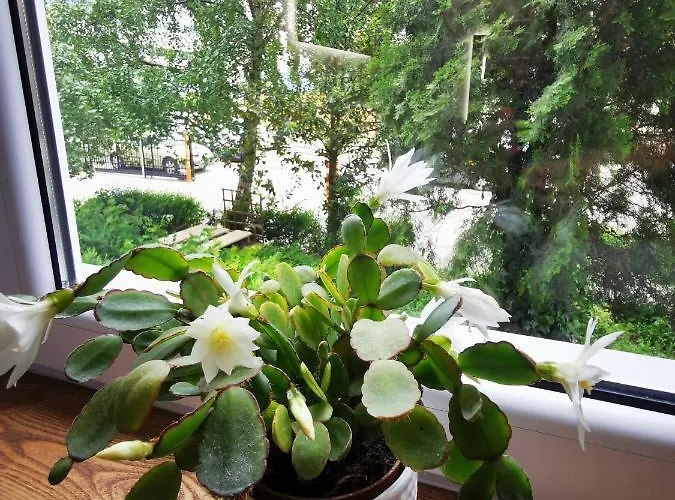 Przy Arsenale * Wrocław