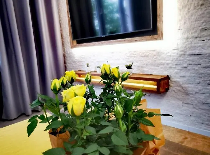 Lejlighed Przy Arsenale