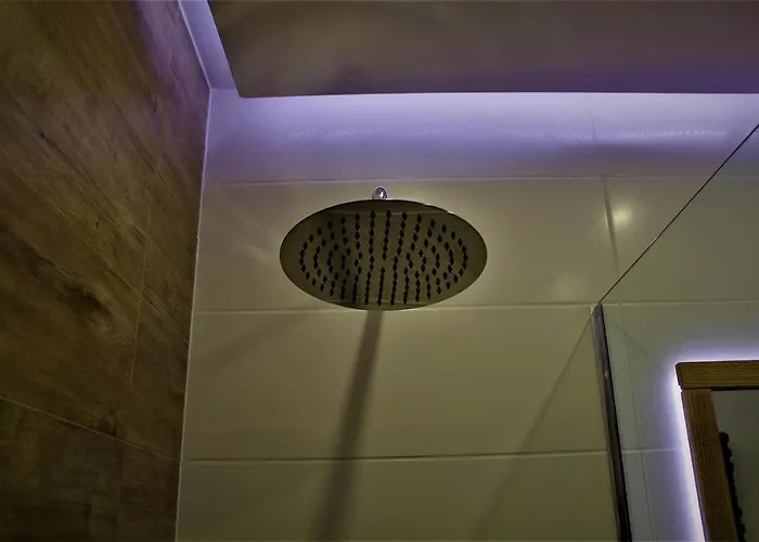 Przy Arsenale Lejlighed *